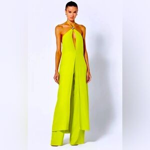 ALEXIS Quince PANT & Orchid Maxi TOP SET L XL  💚